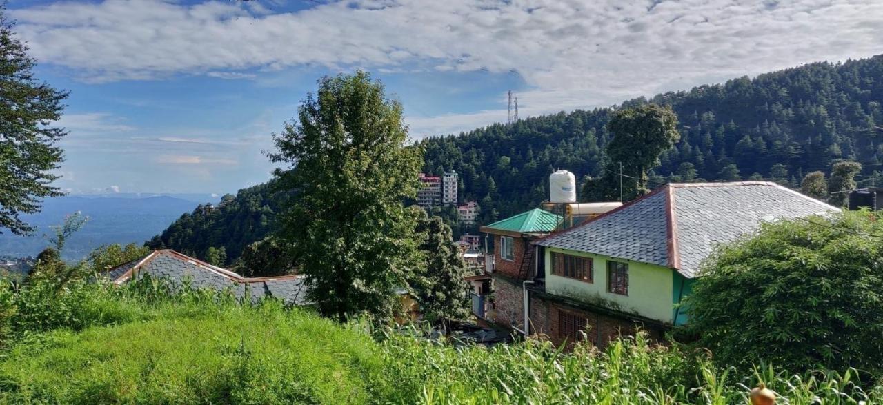 White Rabbit Guest House Dharamshala Dış mekan fotoğraf